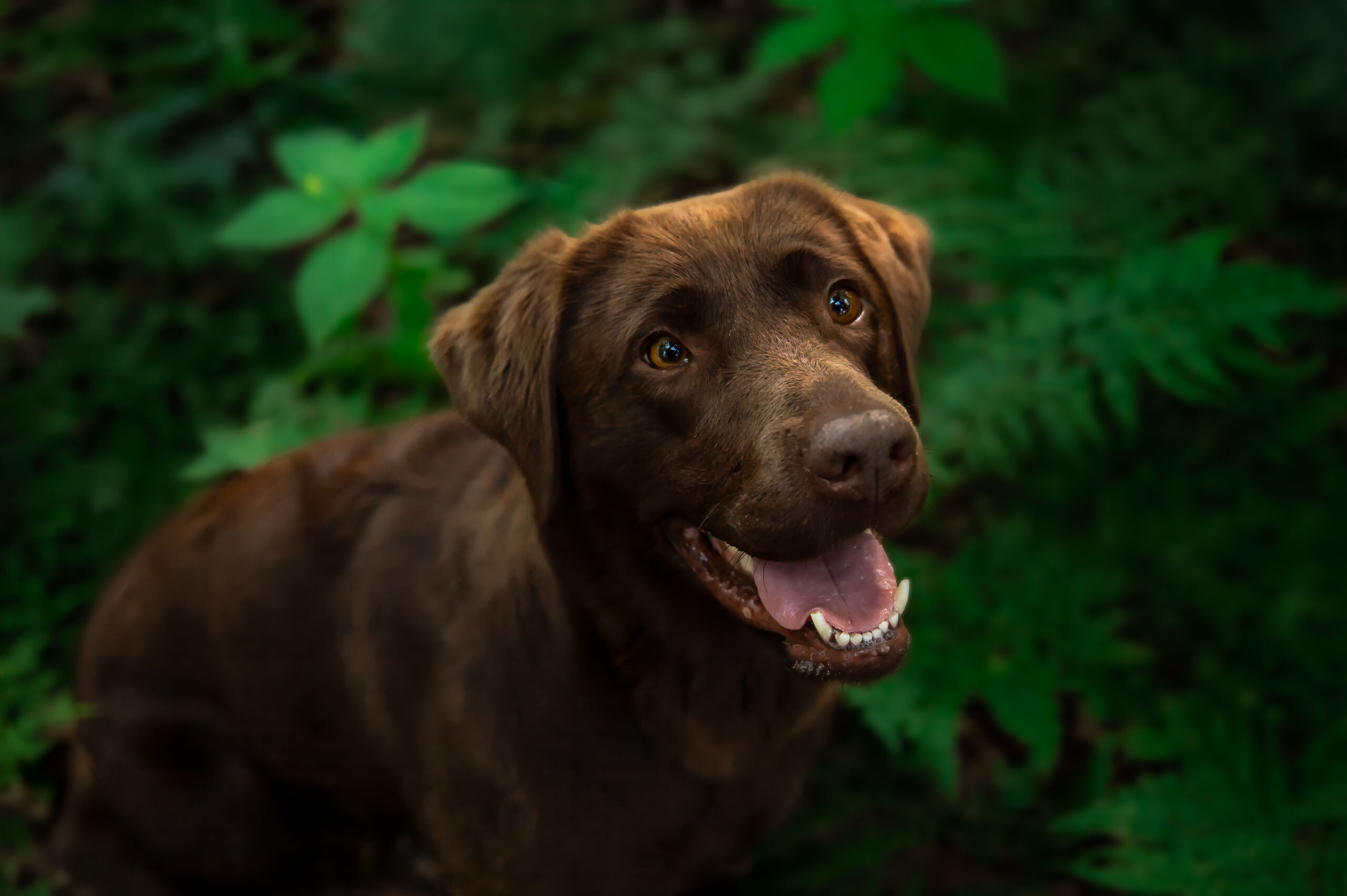 _DSC9332-Edit