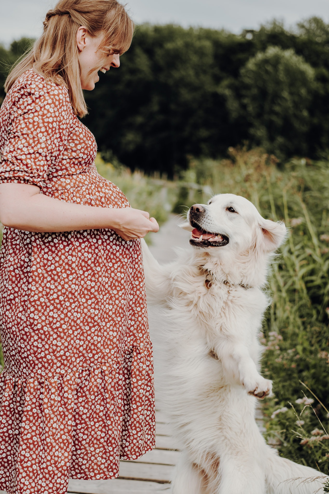 Herzenshundmomente Hundefotografie lübeck – Babybauch-09