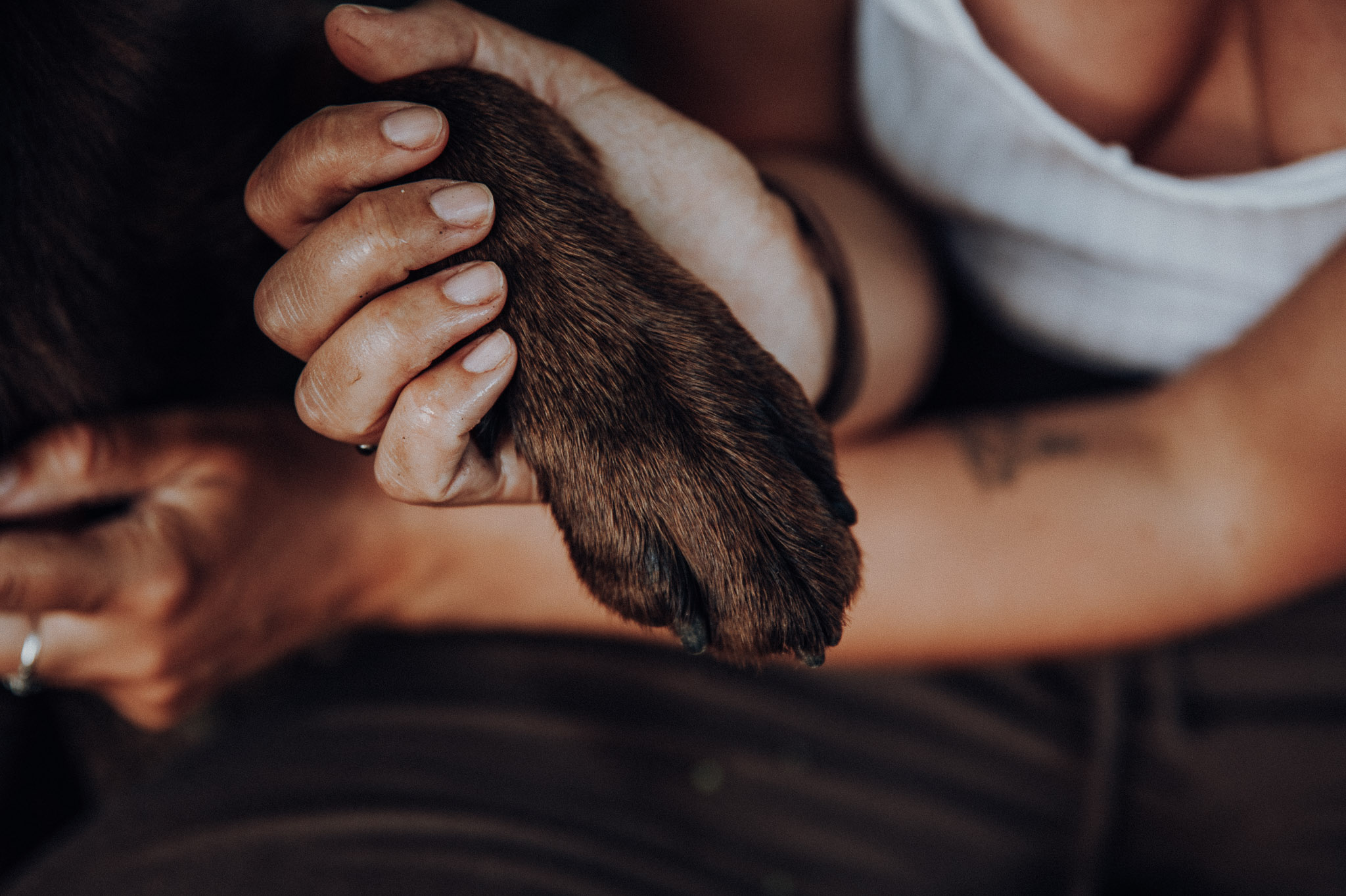 Herzenshundmomente Hundefotografie Lübeck Tatjana und Mia Detail